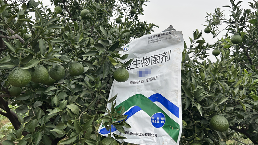 柑橘種植的得力助手