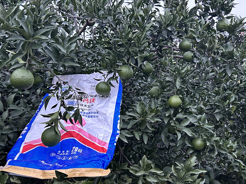 柑橘種植-愛施蔓蔓葉水溶肥