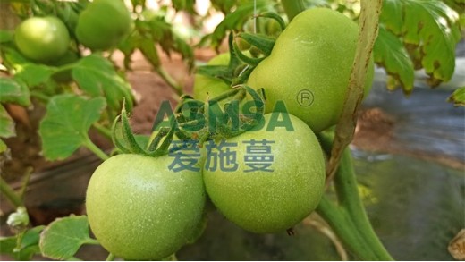 土壤板結(jié)如何解決