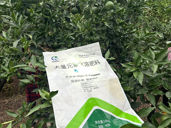 愛媛種植-愛施蔓蔓葉大量元素水溶肥