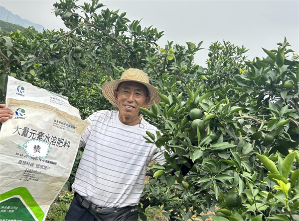 愛媛種植-愛施蔓蔓葉大量元素水溶肥