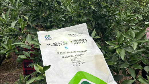 愛(ài)媛種植管理要點(diǎn)：肥料的選擇