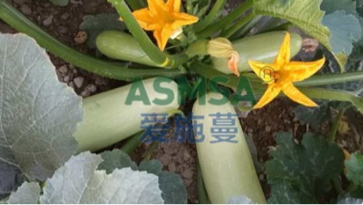 水溶肥排行榜靠譜不？今天來說說
