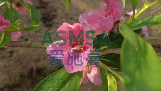 水溶肥怎么選擇？這兩點(diǎn)很重要