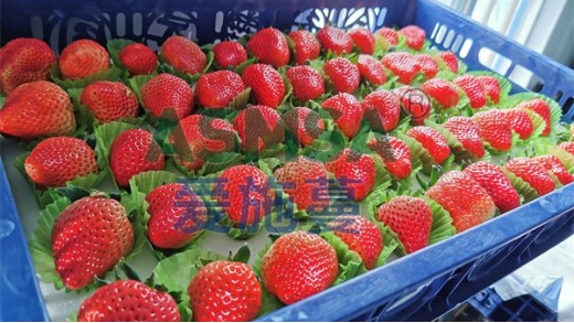 礦源黃腐酸鉀哪個(gè)品牌好？