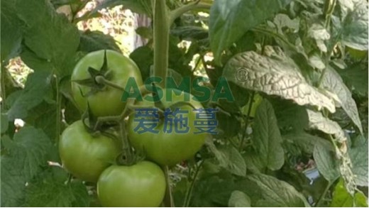 微生物菌劑的作用，你知道多少？