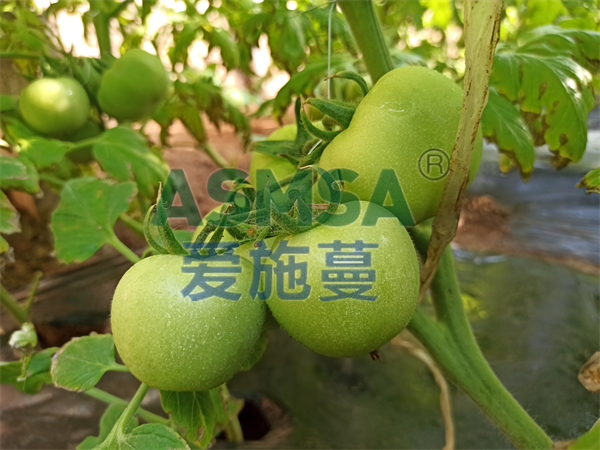 水溶肥怎么使用更好？