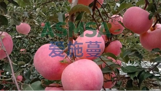 水溶肥與傳統(tǒng)的肥料有什么區(qū)別？