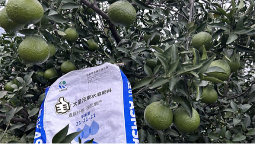 果樹施肥的關鍵