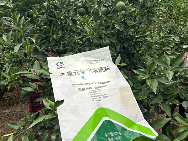 柑橘施肥-愛(ài)施蔓蔓葉大量元素水溶肥