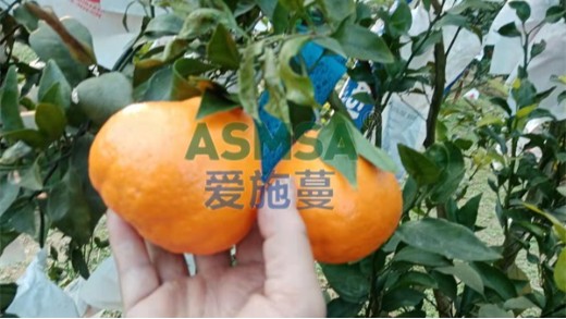水溶肥廠家該怎么選？要注意什么？