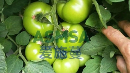 水溶肥使用必看的3個(gè)知識(shí)點(diǎn)