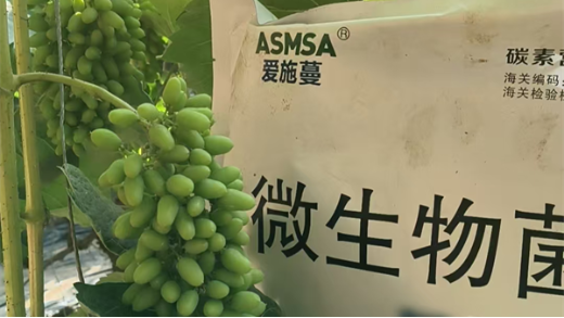 微生物菌劑在葡萄種植上使用效果如何？