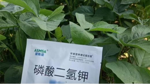 磷酸二氫鉀哪個(gè)品牌效果好