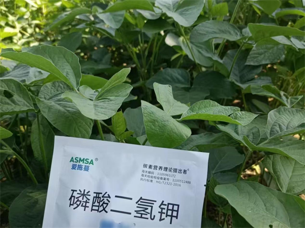大豆施肥-愛施蔓蔓葉磷酸二氫鉀
