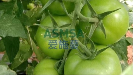 水溶肥施肥注意事項有哪些？這三點要牢記