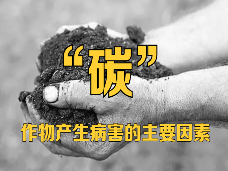 “碳”作物產生病害的主要因素