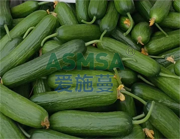 水果黃瓜用什么水溶肥好？