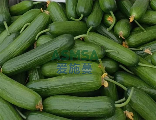 黃瓜施肥-愛施蔓蔓葉水溶肥