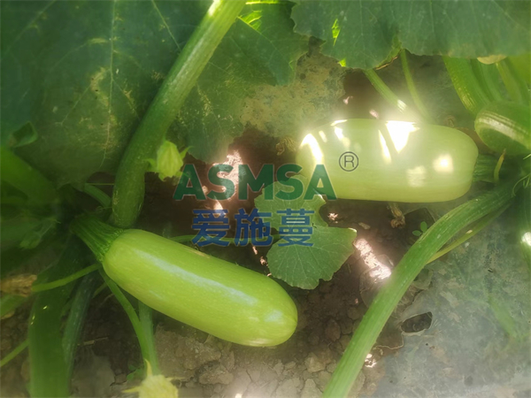 磷酸二氫鉀的功效和作用有哪些？經(jīng)銷商周總總結(jié)